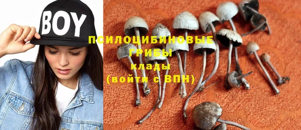 скорость Касимов
