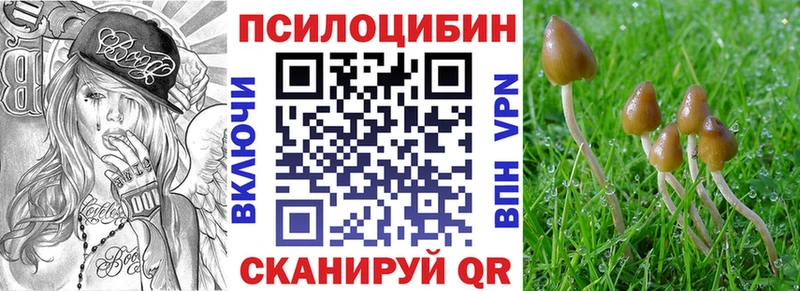Галлюциногенные грибы ЛСД Купить где Мышкин